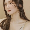 장미