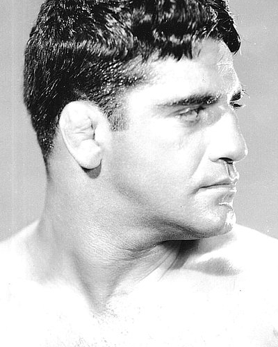 Sammy Stein