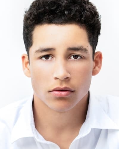Andrew Liner