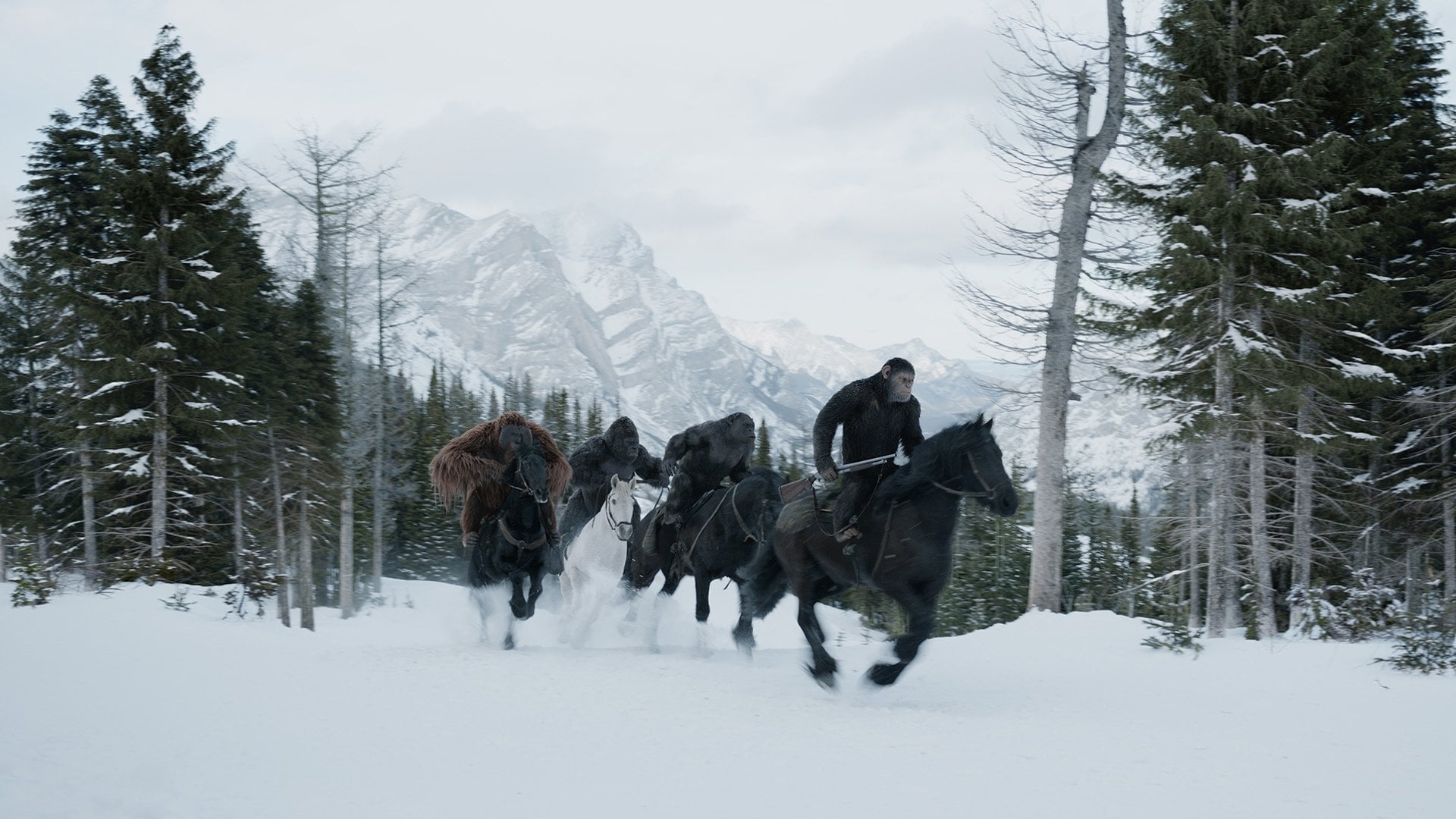 دانلود فیلم جنگ برای سیاره میمون‌ها War for the Planet of the Apes 2017