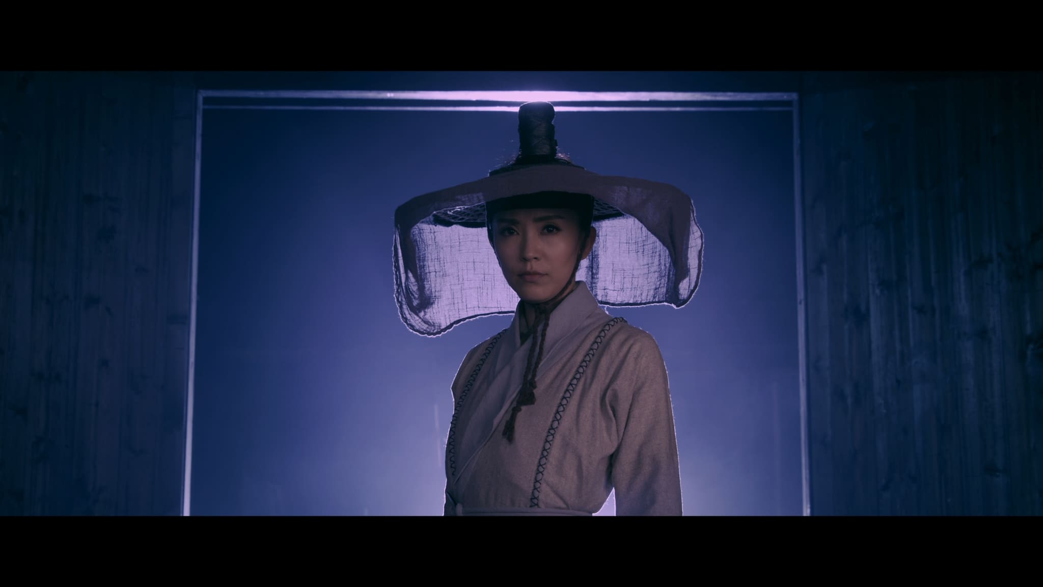 دانلود فیلم بانوی سایه ها Lady Detective Shadow 2018