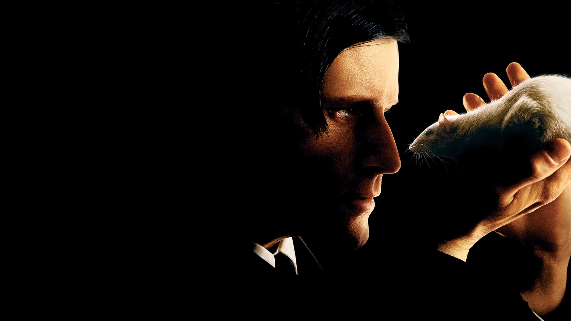 دانلود فیلم ویلارد و موش ها Willard 2003