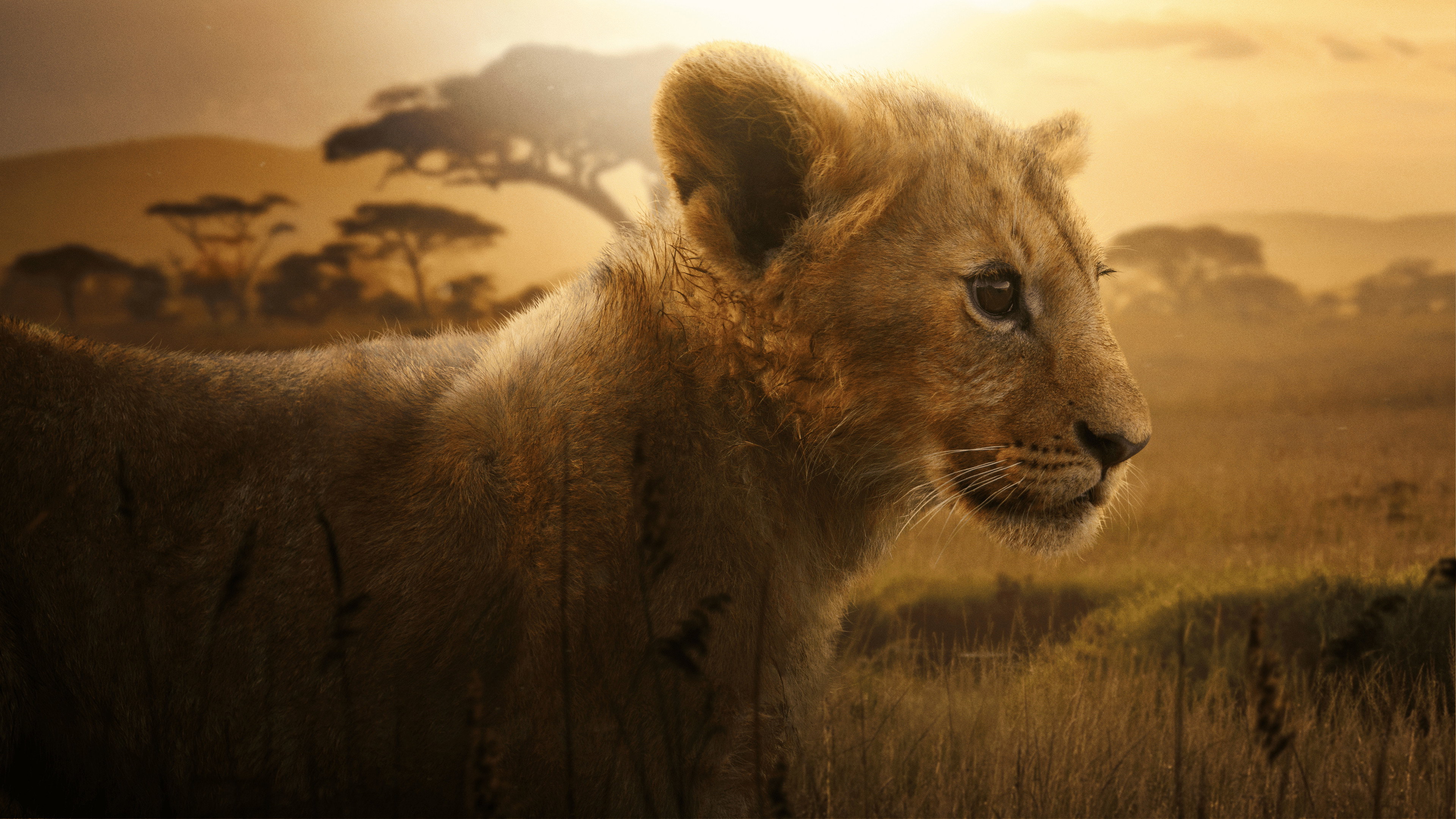 دانلود سریال شیر Lion 2026