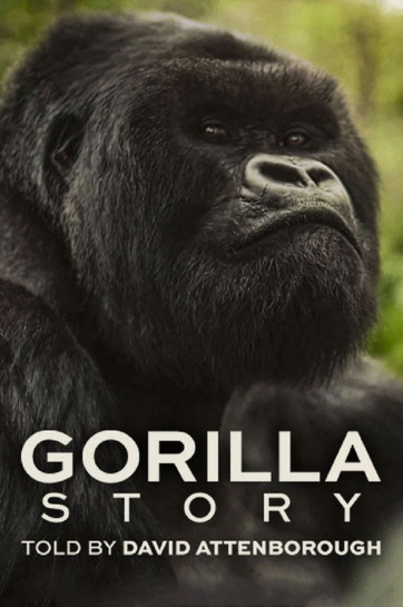 دانلود فیلم داستان یک گوریل: به روایت دیوید آتنبورو A Gorilla Story: Told by David Attenborough 2026