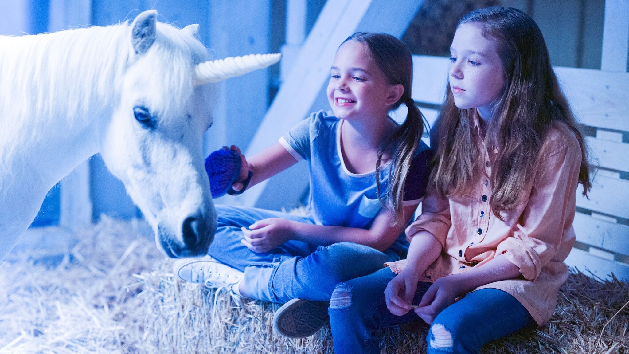 دانلود فیلم آرزوی اسب تک شاخ Wish Upon A Unicorn 2020