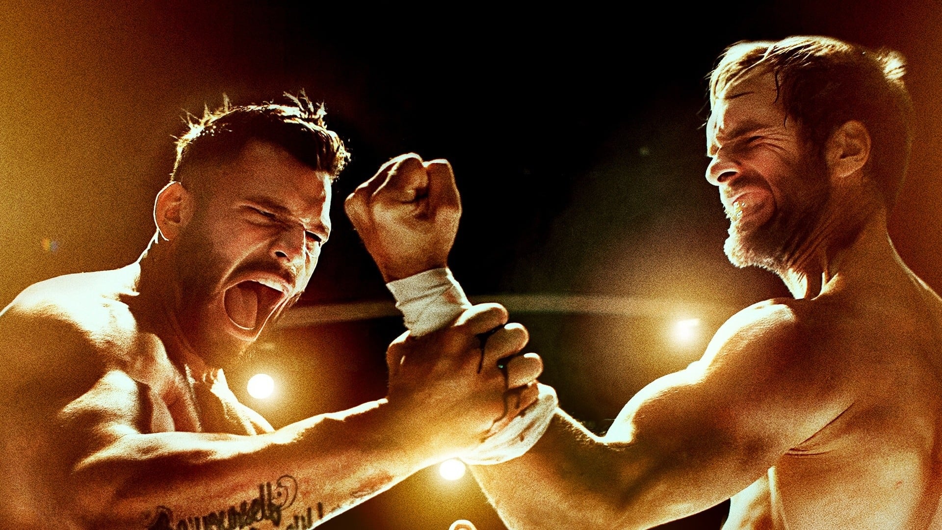 دانلود فیلم آخرین مبارزه The Last Kumite 2024